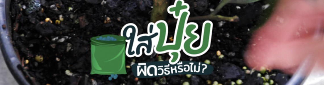 การใส่ปุ๋ยลงดิน กับ ละลายน้ำแล้วรดต้นไม้ วิธีไหนดีกว่ากัน? การใส่ปุ๋ยลงดิน กับ ละลายน้ำแล้วรดต้นไม้ วิธีไหนดีกว่ากัน?