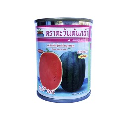 เมล็ดพันธุ์แตงโมลูกผสม กินรี 101