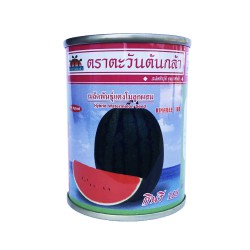 เมล็ดพันธุ์แตงโมลูกผสม กินรึ 188 
