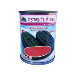 เมล็ดพันธุ์แตงโมลูกผสม ไฮร๊อก 04