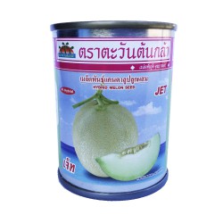 เมล็ดพันธุ์แคนตาลูปลูกผสม เจ็ท